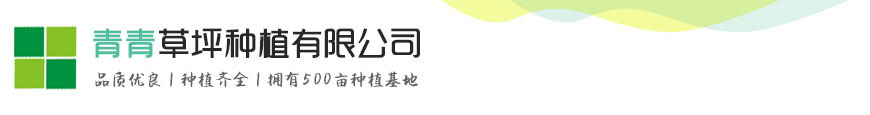 玩彩网-追求健康,你我一起成长